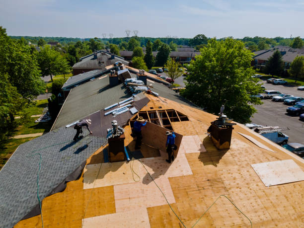 Best Flat Roof Repair Services  in Forestville, MD
