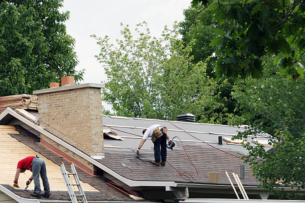 Best Gutter Installation and Roofing  in Forestville, MD