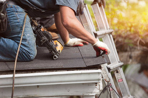 Best Emergency Roof Repair  in Forestville, MD